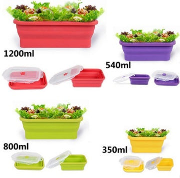 Folding lunch box!
