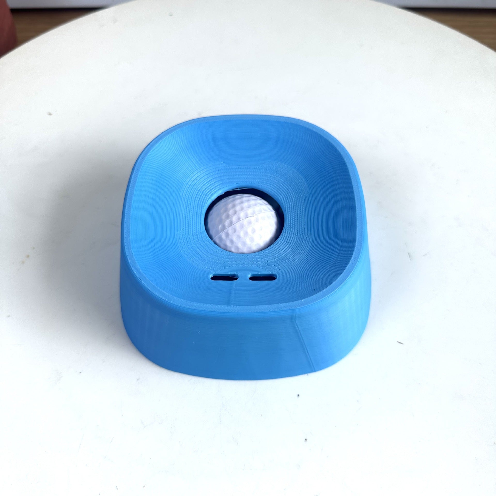 Travel No Spill Pet Bowl!